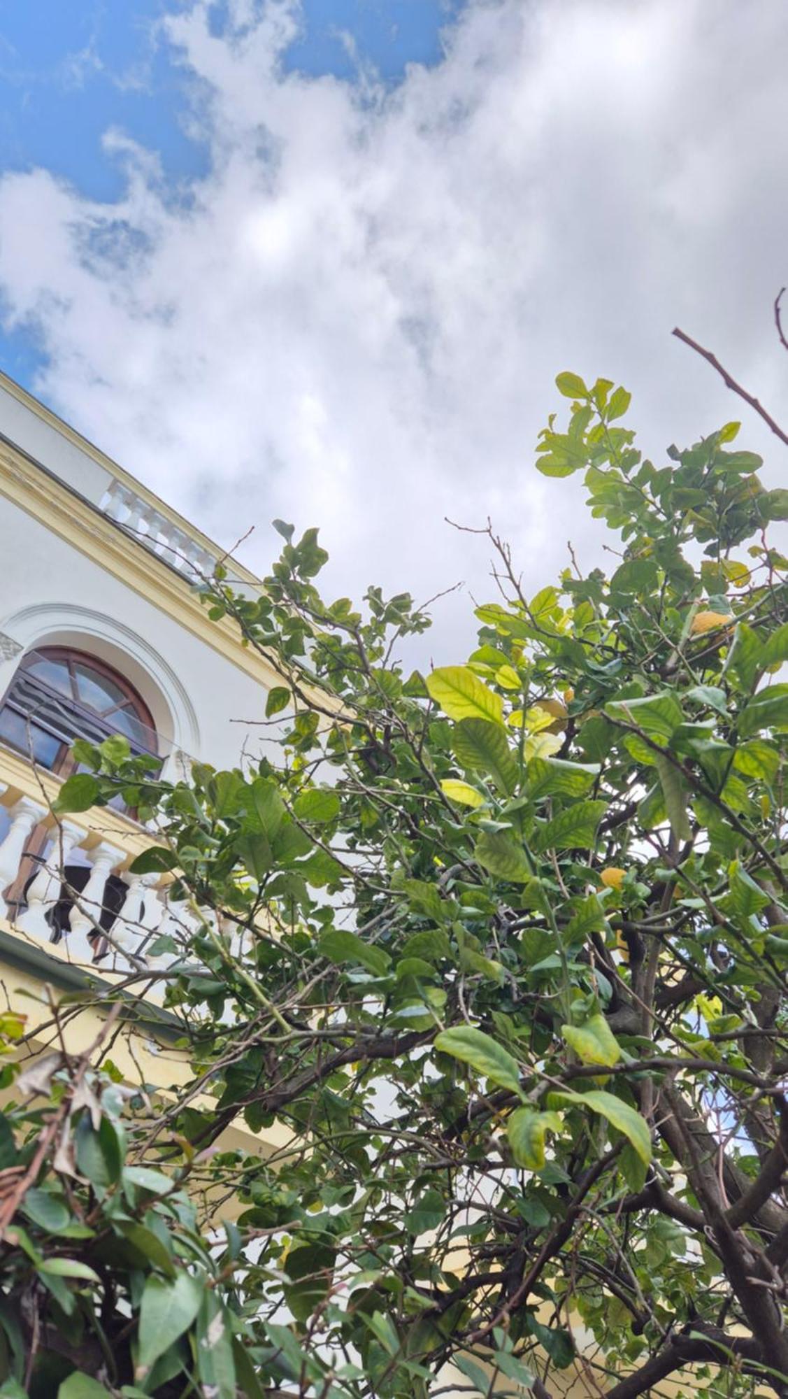 Relais Villa Montedonzelli Неаполь Экстерьер фото